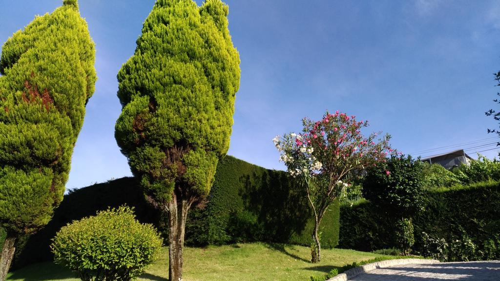 Aboimhouse Villa Amarante Buitenkant foto